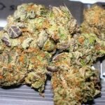 Dawg Cookies Weed UK